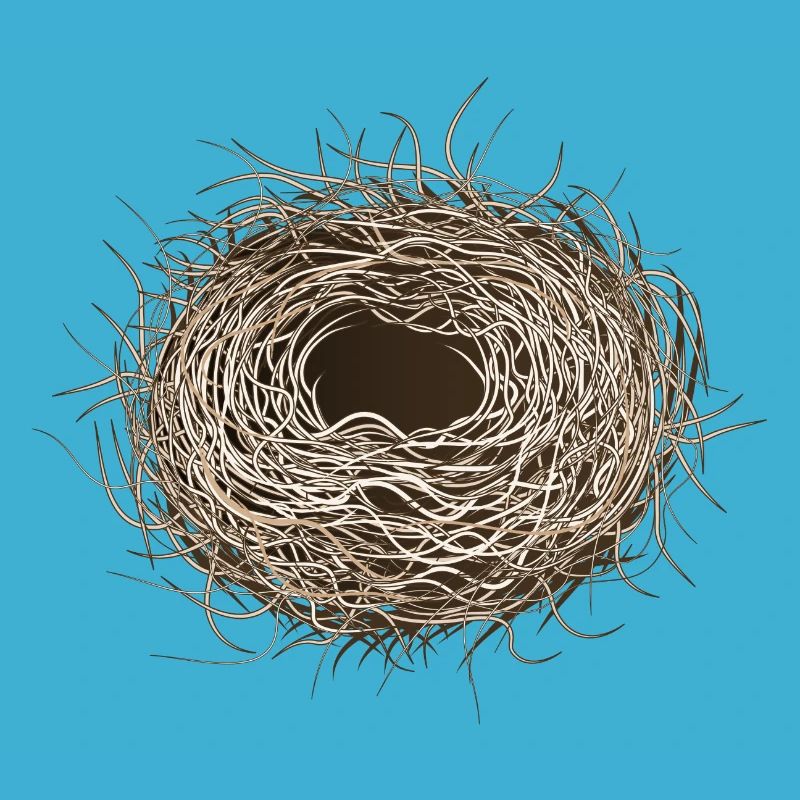 empty bird's nest or easter basket for spring