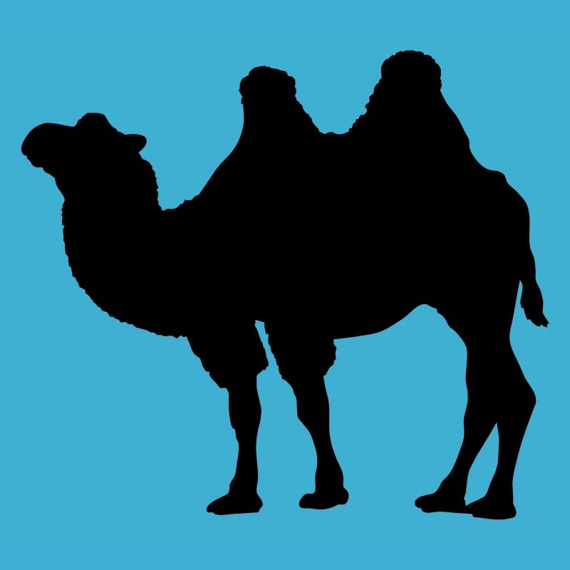 Kamel