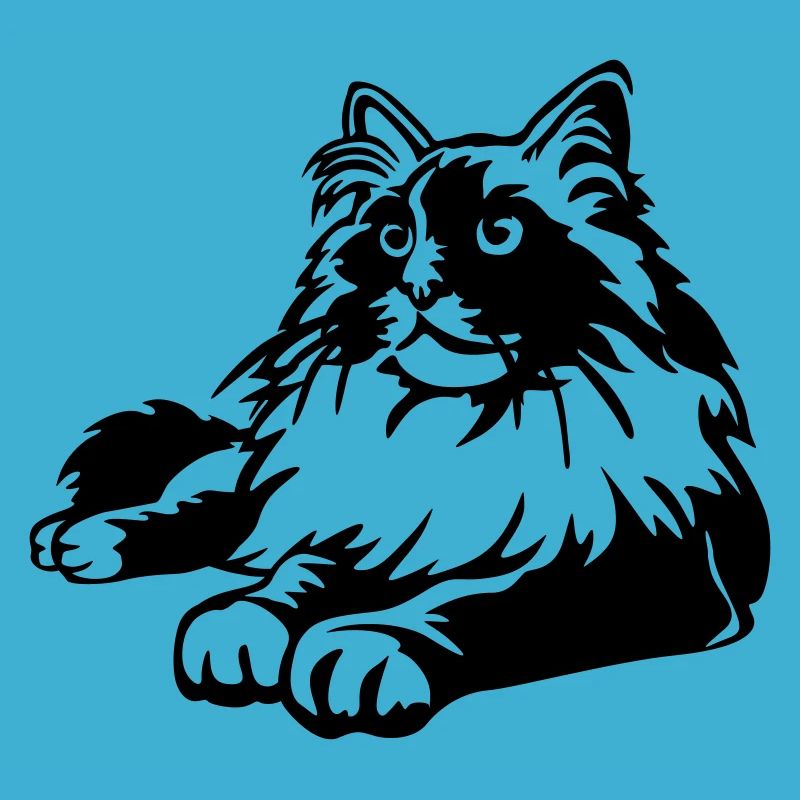 Chat Ragdoll