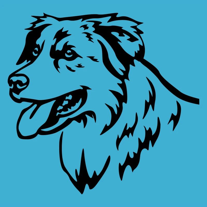 Australian Shepherd Head