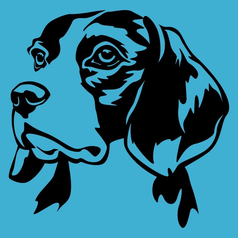 Beagle head