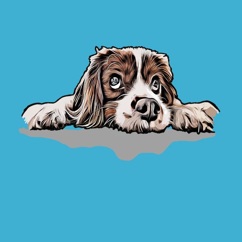 cavalier roi Charles Spaniel