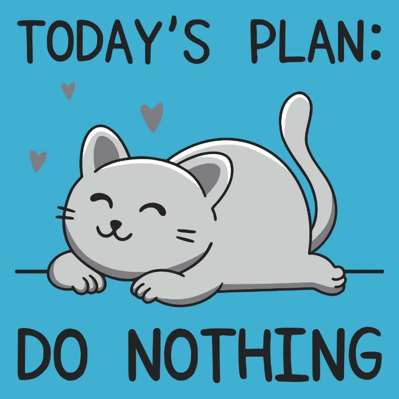 Le plan du jour