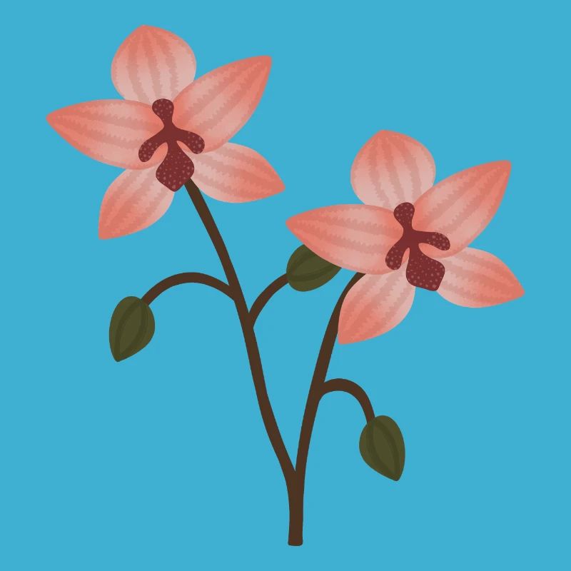Fleur d’orchidée pastel