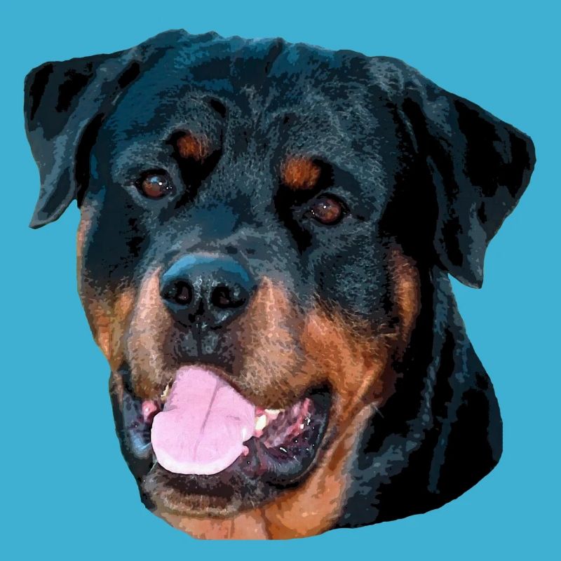Rotti