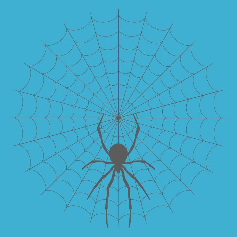 Spider Web Silhouette