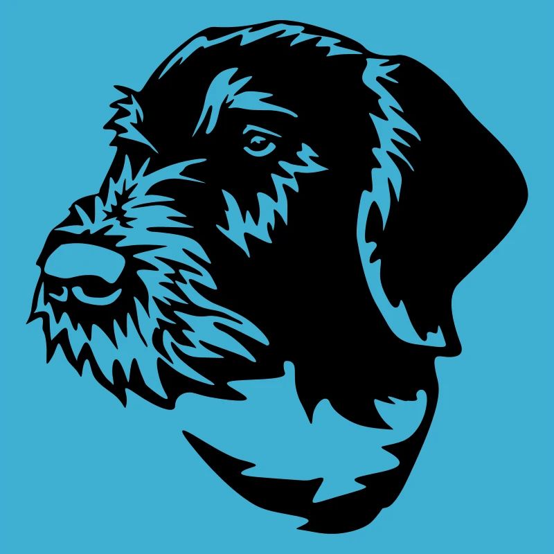 German Wirehaired Pointer
