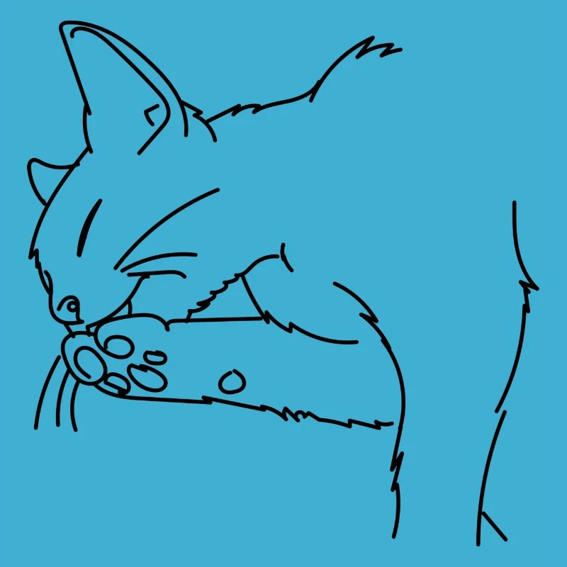 Chat