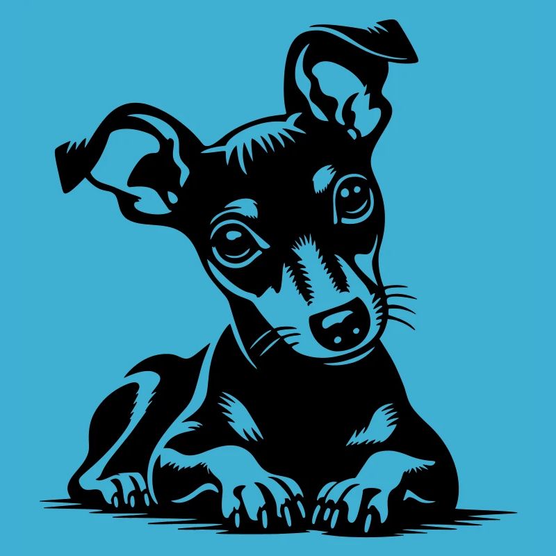Pinscher nain