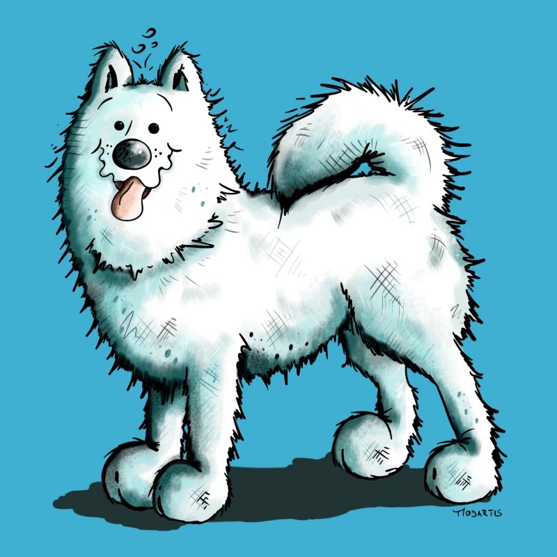 Sammy Samoyed - Samoyède