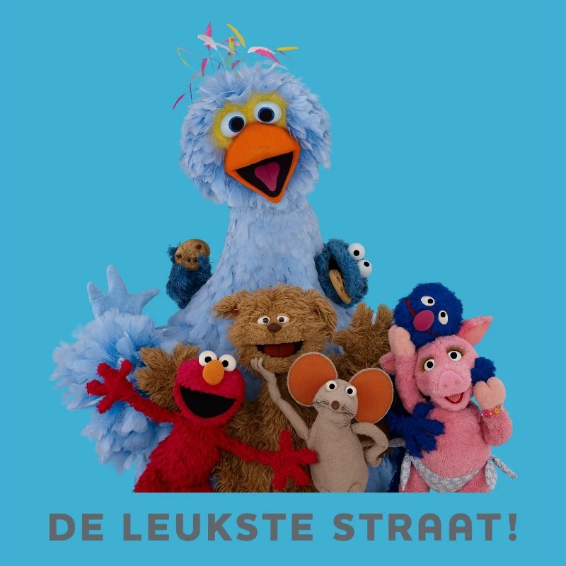 Sesame Street - La rue la plus mignonne !