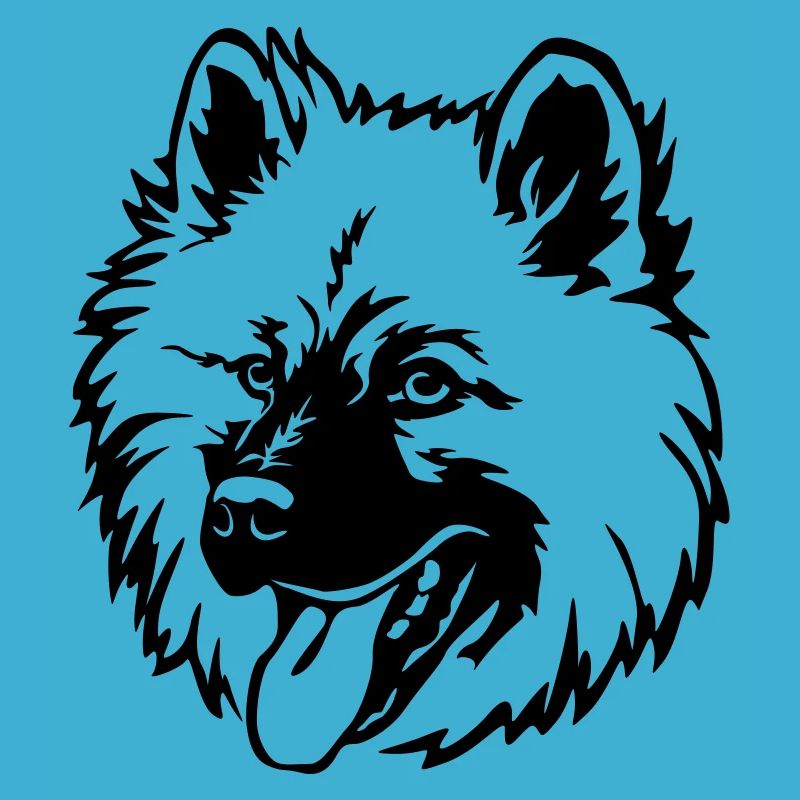 Eurasier Kopf