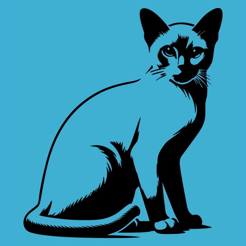 Chat birman