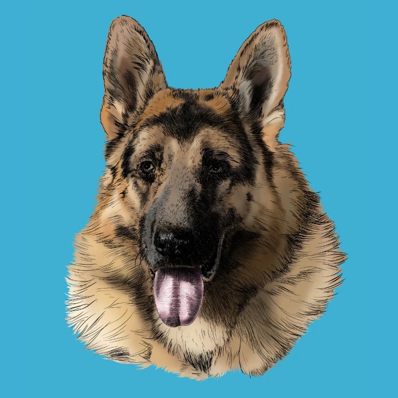 German shepherd