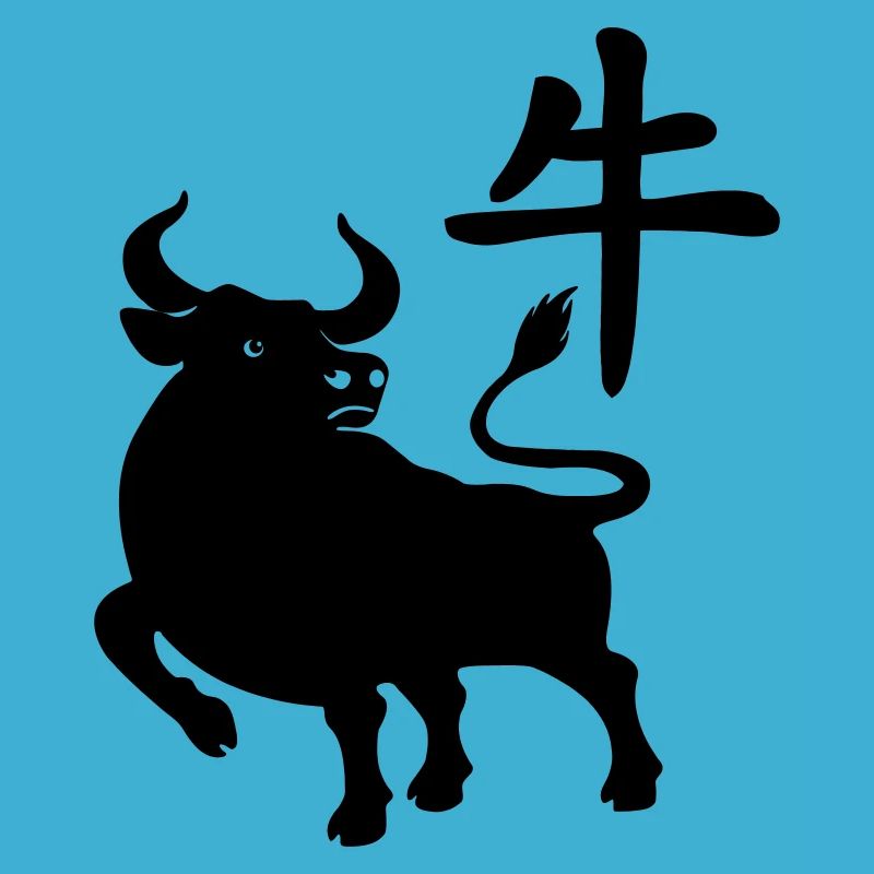 chinese character os with os image, shadow