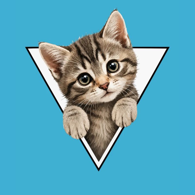 Chaton dans le triangle
