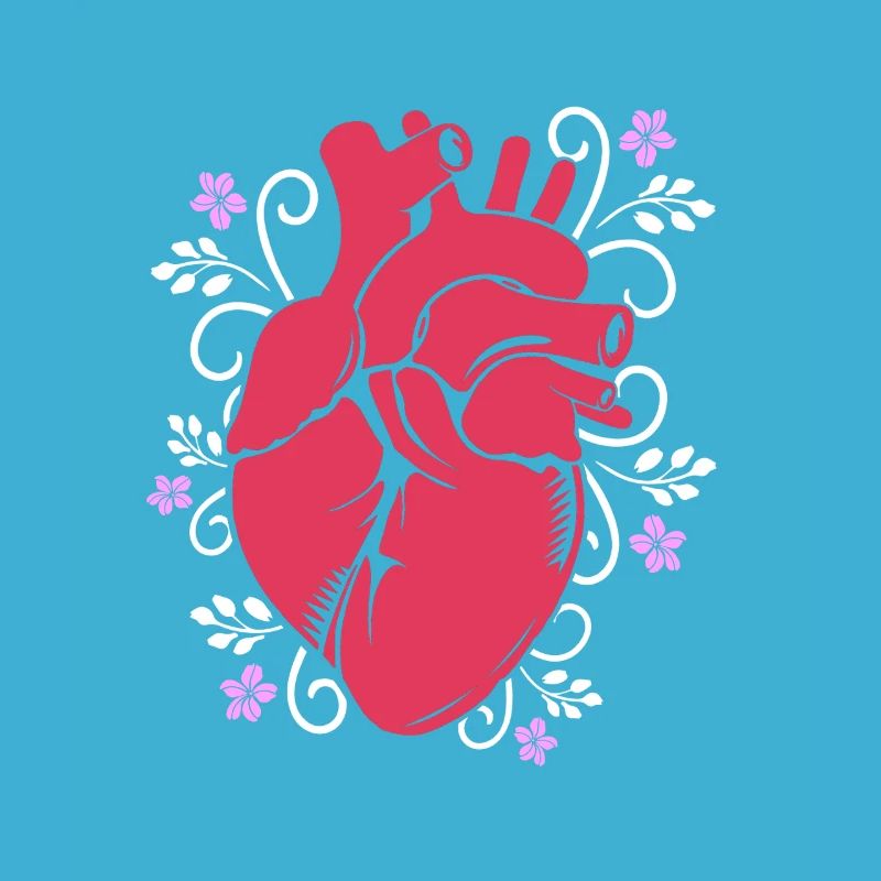 Cardiogram, cardiography, sonography, ultrasound