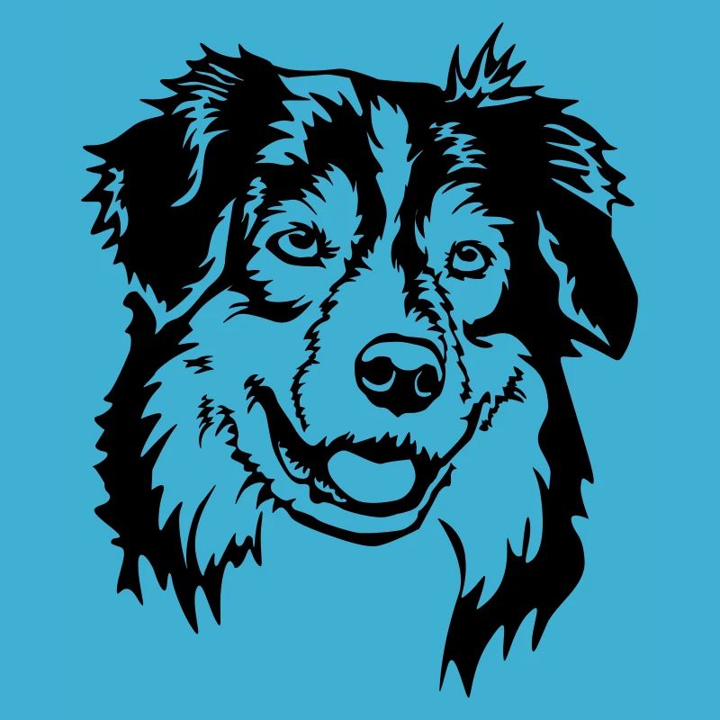 Australian Shepherd Head