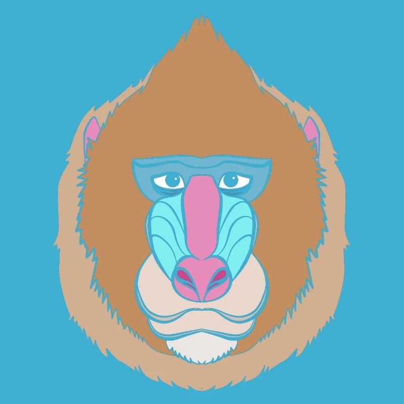 Baboon Pavian Primat Affe Affen