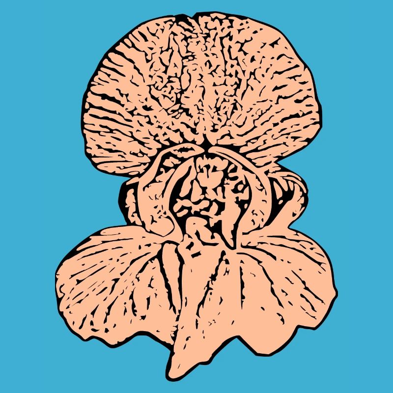 Muttertags Geschenk Mutter Muttertag Geschenkidee 