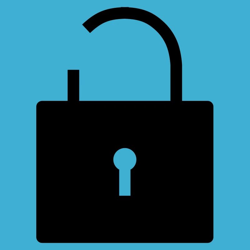 No security no security open lock lock