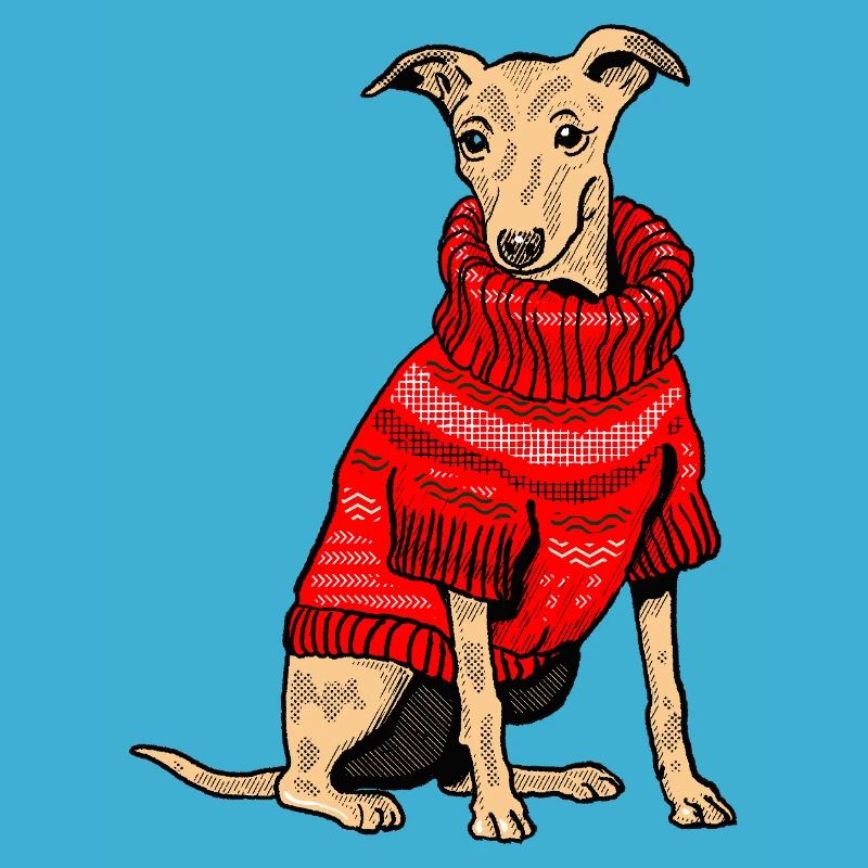 Chien en pull tricoté rouge