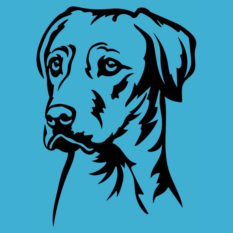 Rhodesian Ridgeback Head