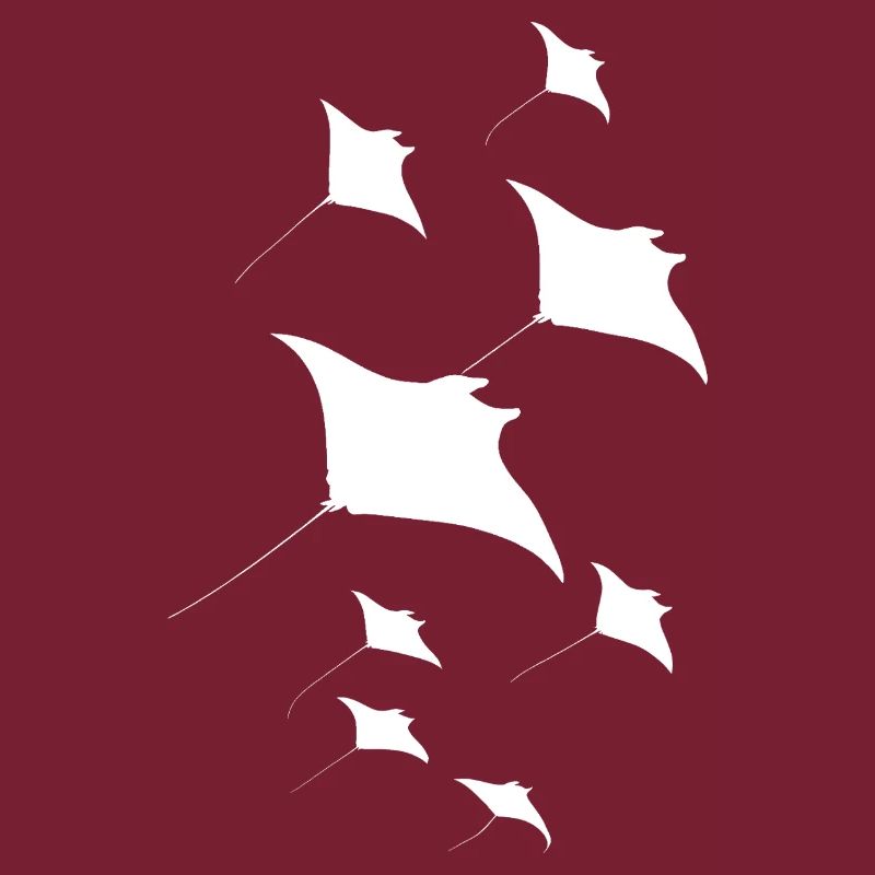 Manta Ray, Devil Ray, Stingray, Diver