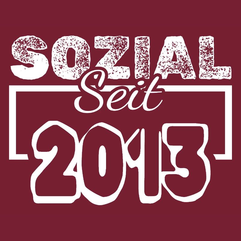 seit 2013