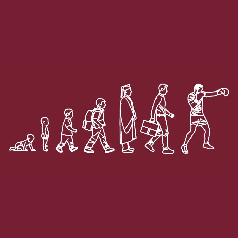 Évolution du Boxer
