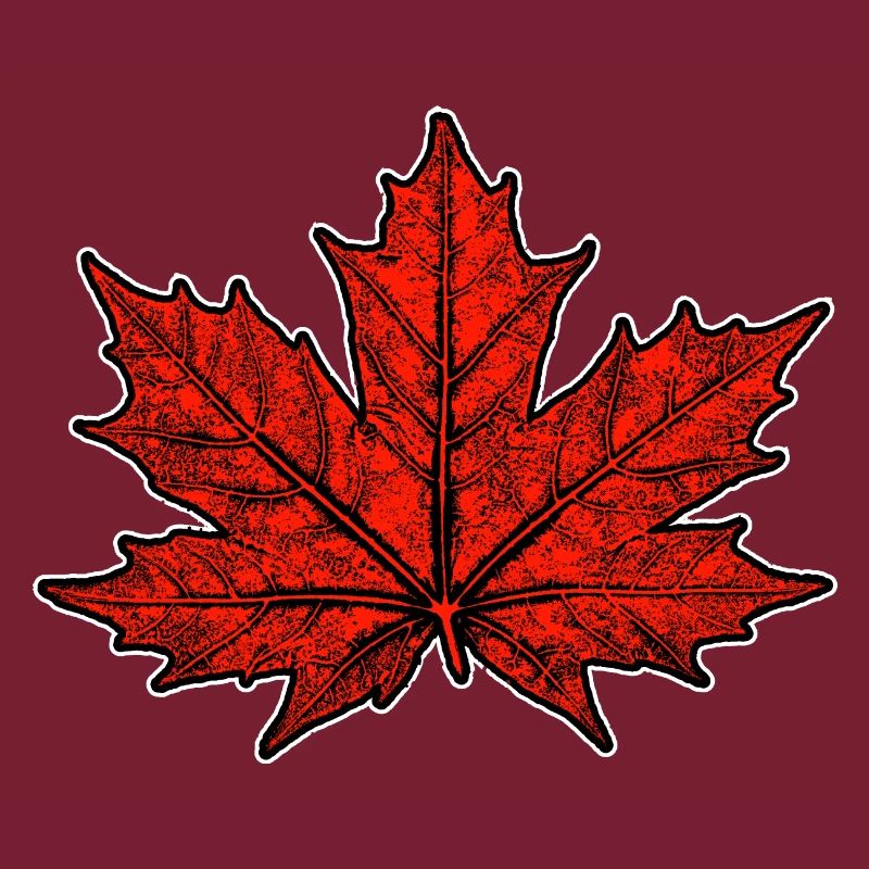 Maple / Leaf