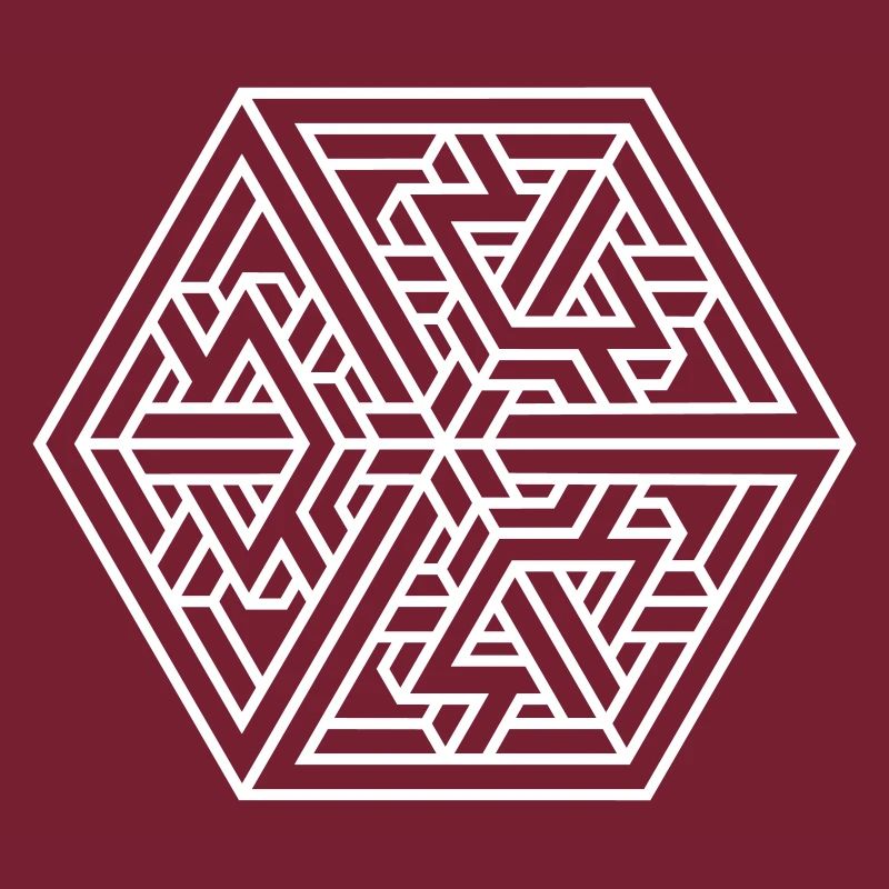 Impossible Maze – Optical Illusion & Escher