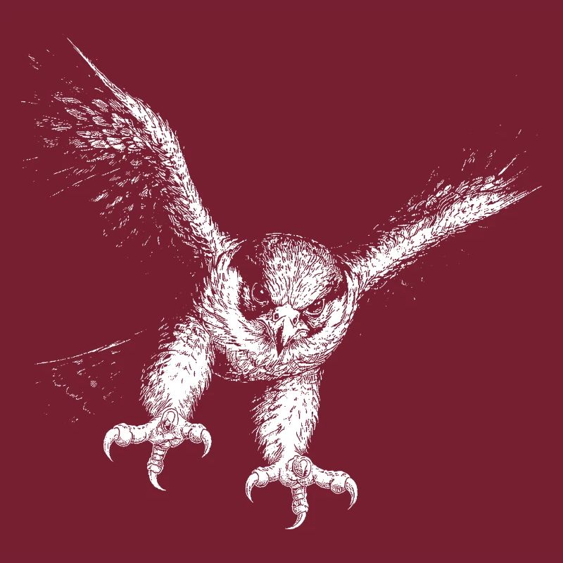 peregrine falcon