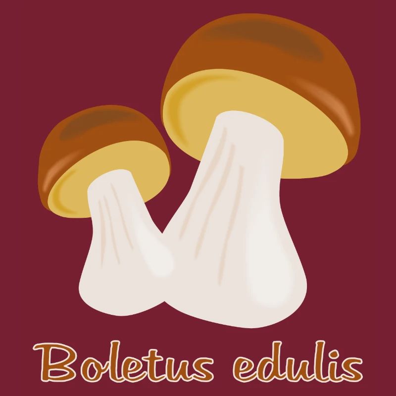 Champignons d’automne