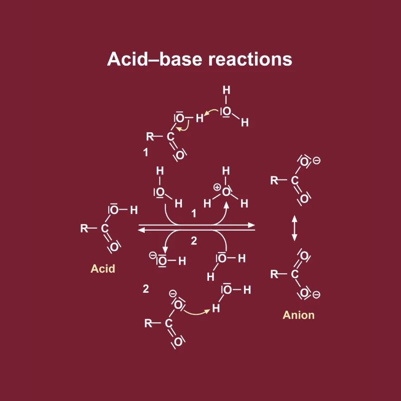 Réactions Acide Base Illustrées