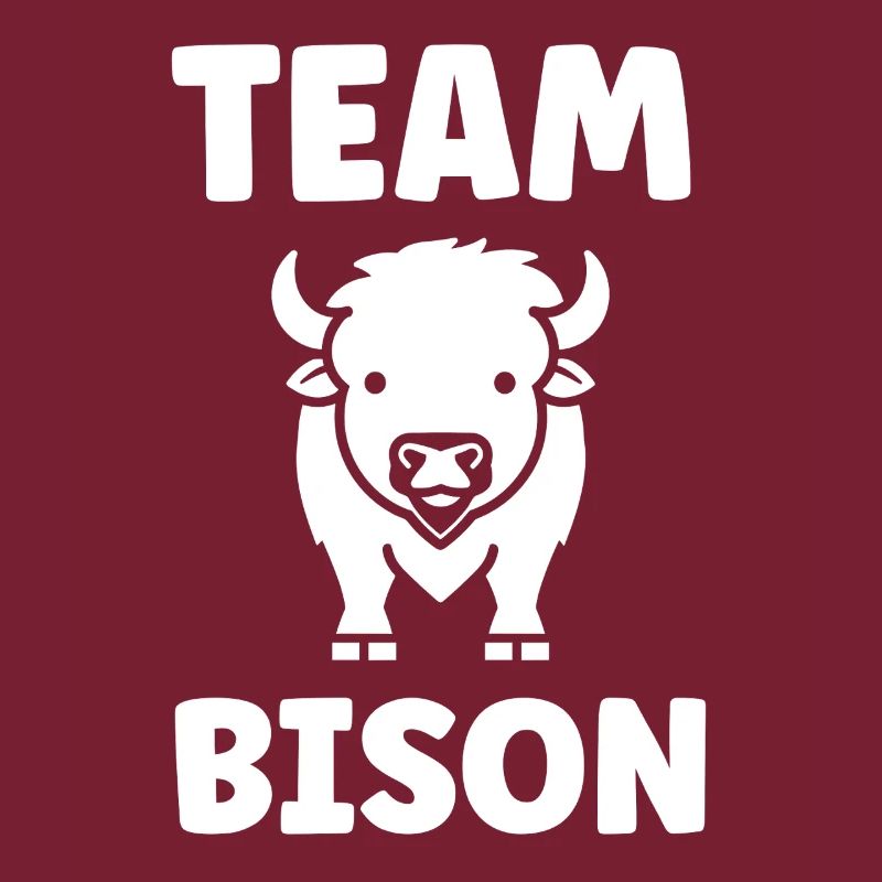 Bison