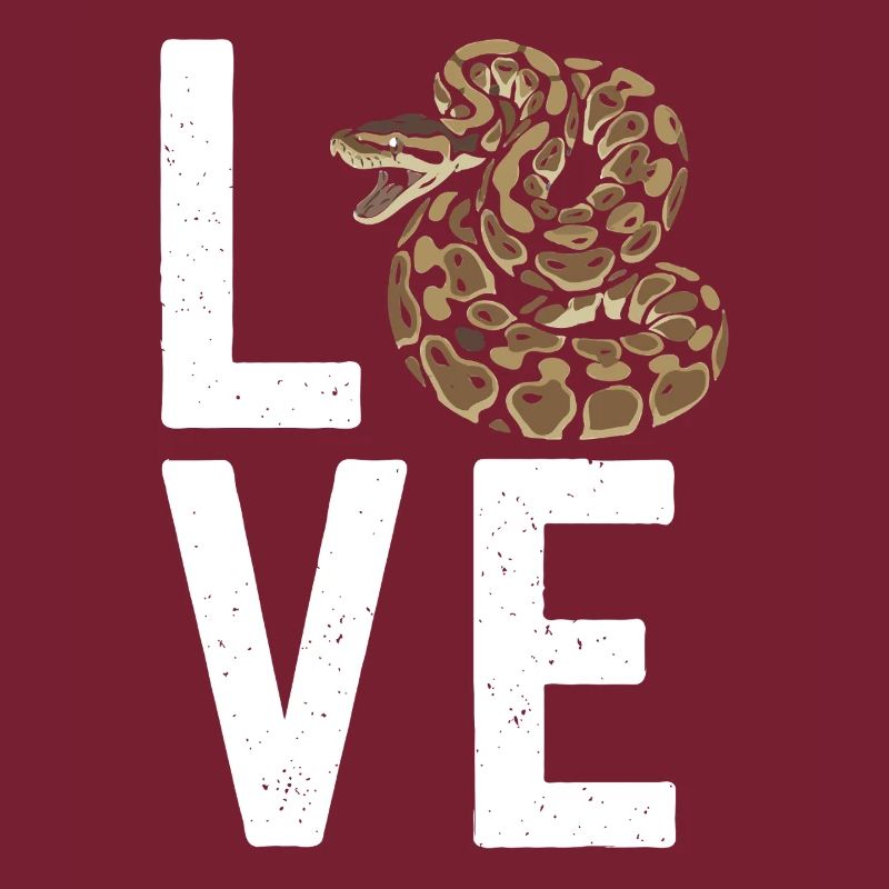 Königspython Schlangen LOVE Terrarium Python