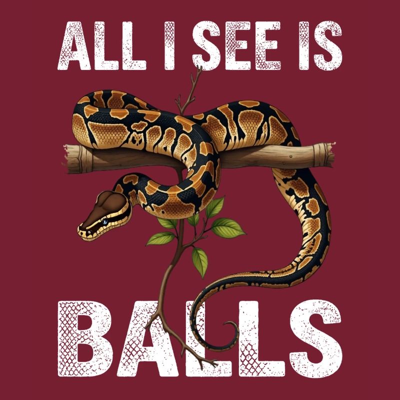 Königspython Schlangen Liebhaber Terrarium Python