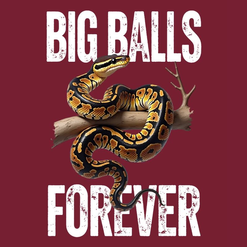 Python roi Serpents Amateurs de terrarium Python