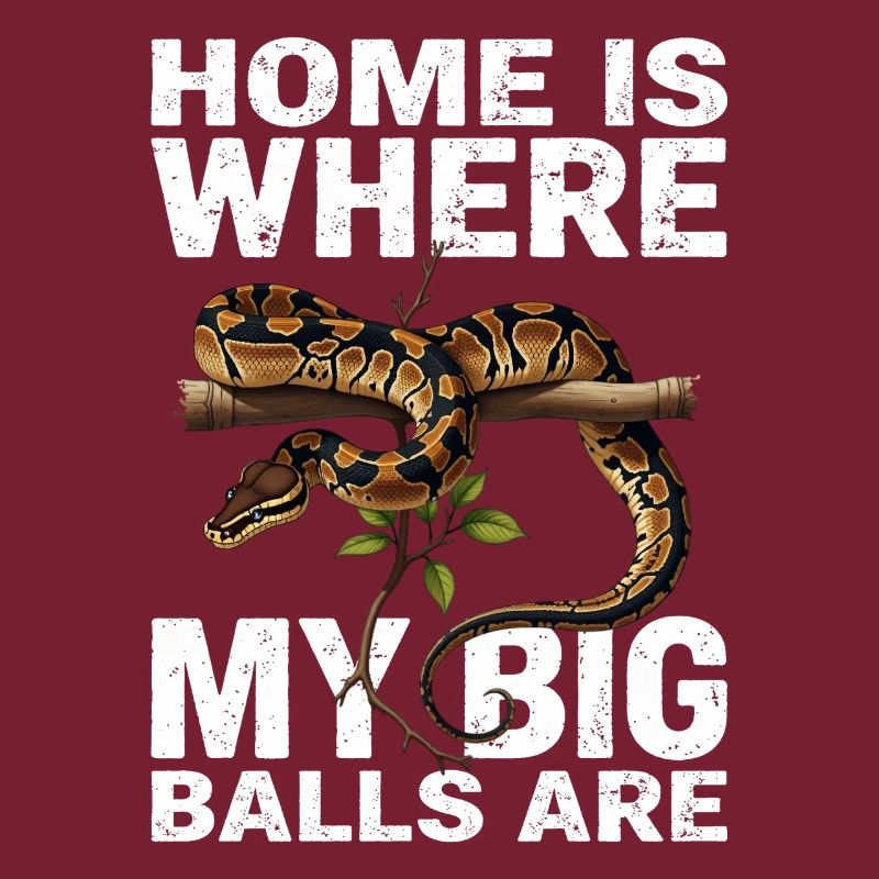 Python roi Serpents Amateurs de terrarium Python