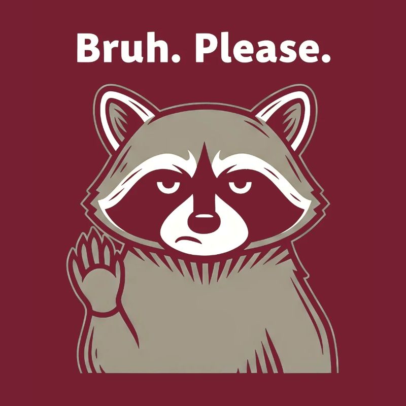 Bruh Please Raccoon Meme