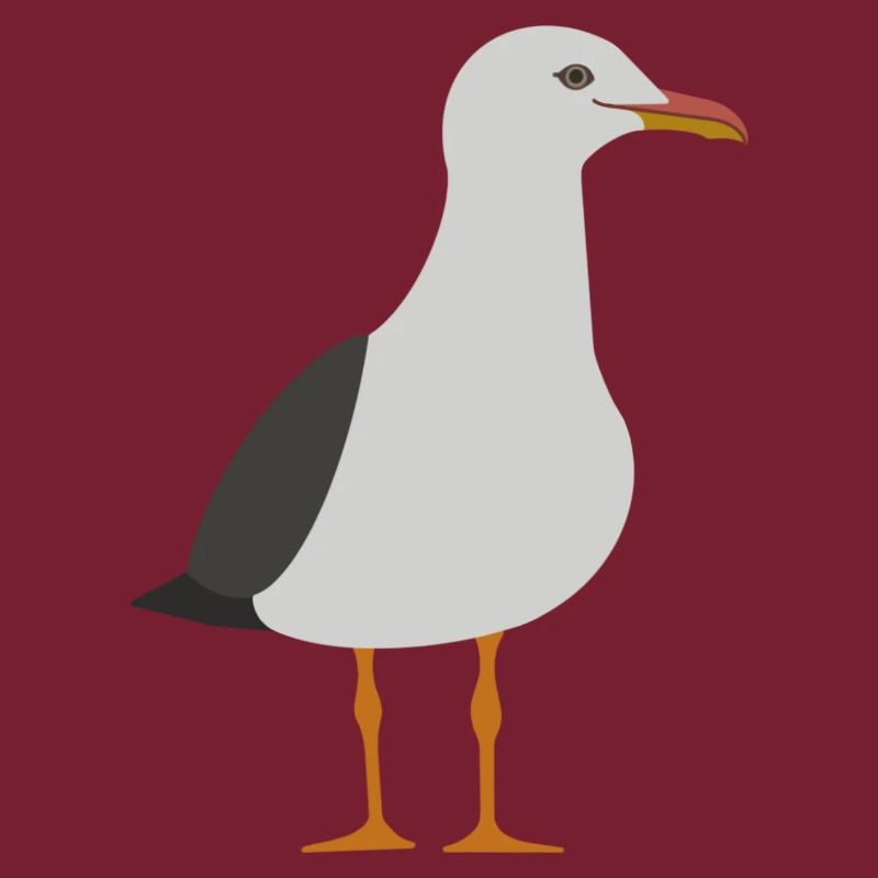 Möwe