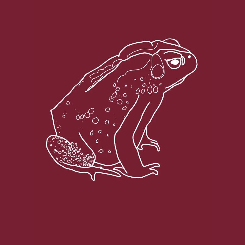 toad