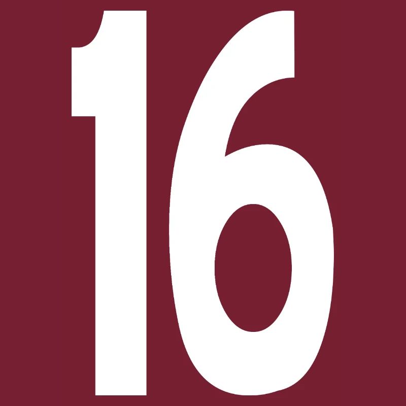 16 Seize