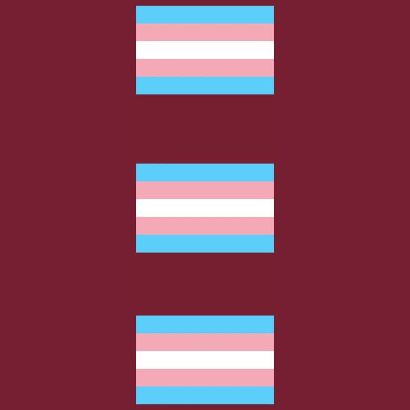 Trans Pride Flags  