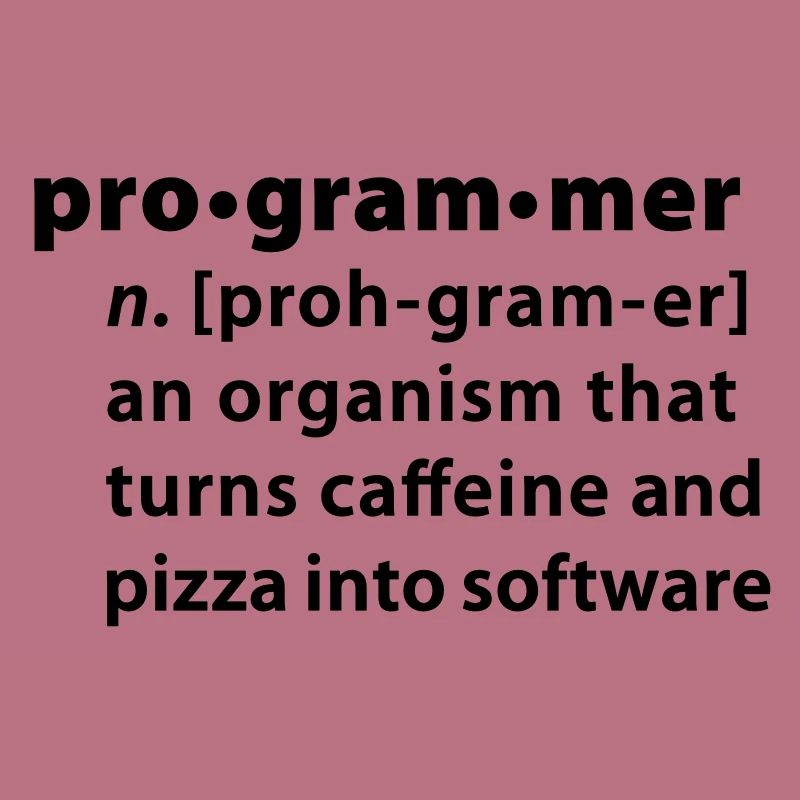 Program definition - the definition Programmer