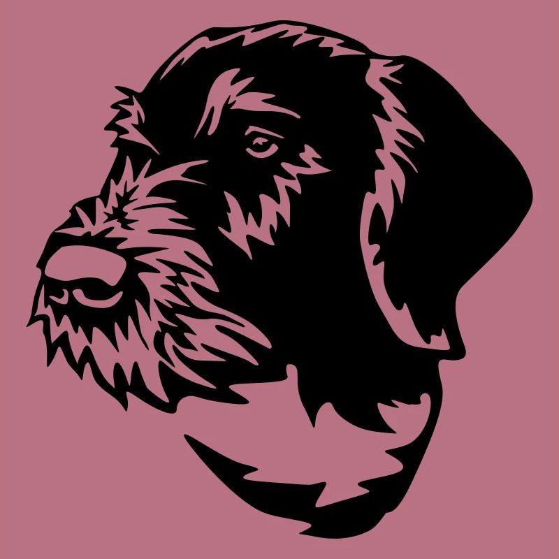 German Wirehaired Pointer