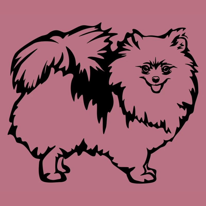 Spitz nain