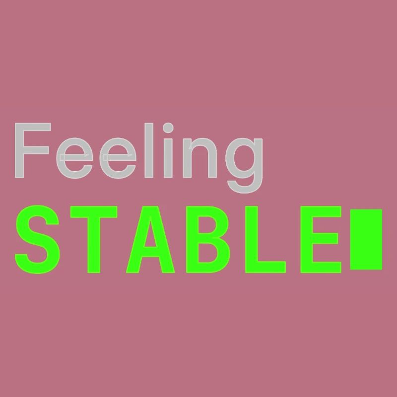 Feeling Stable | Developer mood