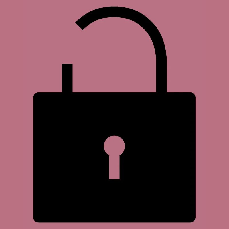 No security no security open lock lock